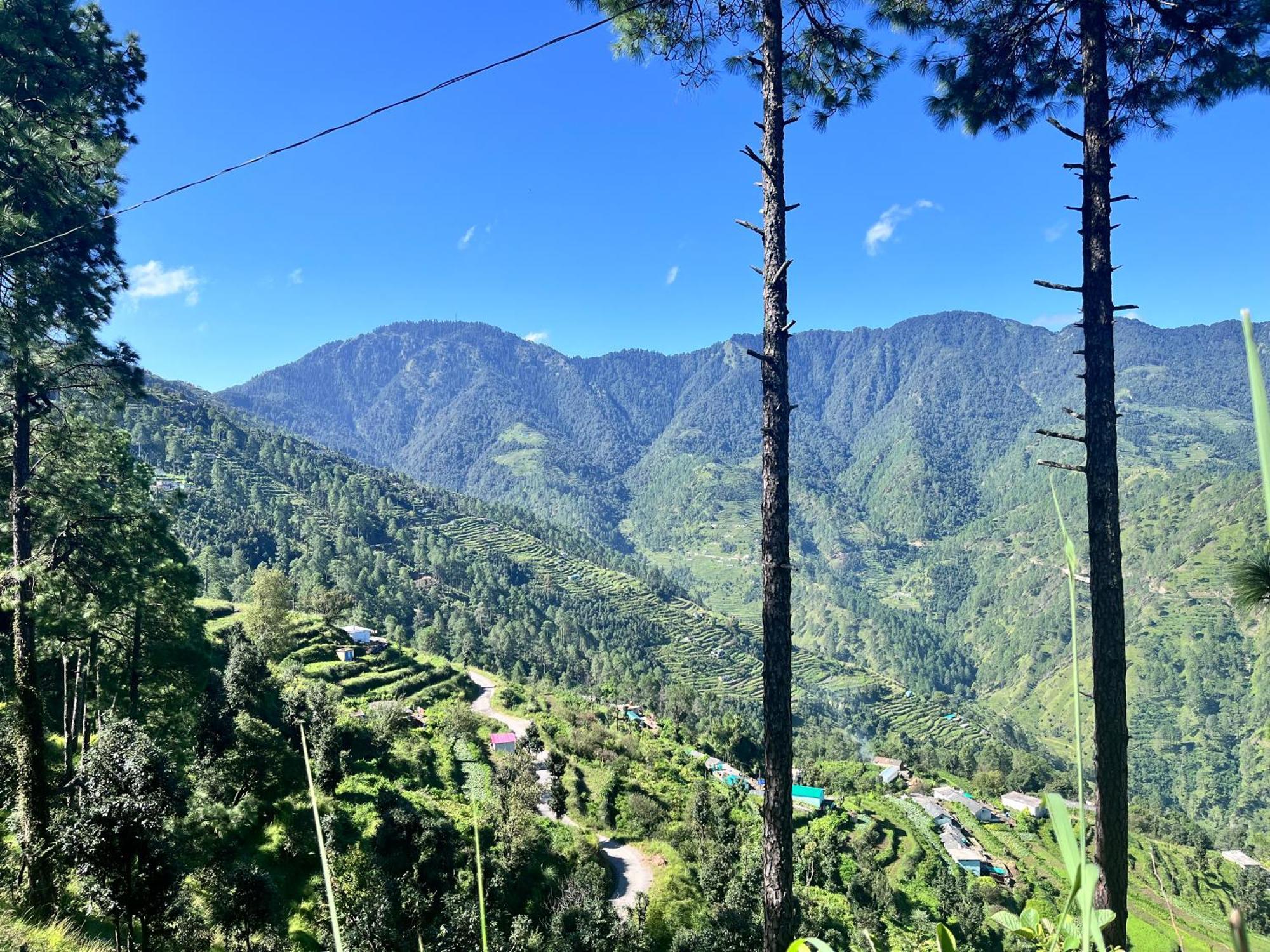 Himalayan Hill Top Resort Канатал Экстерьер фото